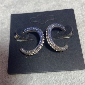 Elegant Stainless Steel hoop earrings.  Post style with crystals